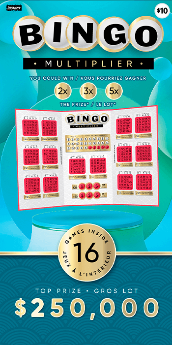 Instant Bingo 3079 ticket